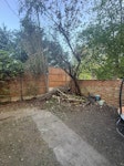 Garden and building refuse Twigs, leaves, branches, some wooden bits from building works and some tiles and broken glass. NW2 - removed for £156