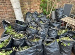 garden waste (leaf and grass) garden waste NW5 - removed for £156