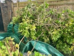 Garden rubbish 6 recyclable garden bags full of chopped branches  (would like these back) plus 6 small bin liners full and one large long trunk and some cut elder branches BN3 - removed for £156