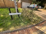 Small pile of Green waste One pile of garden waste (small branches) at curb side on corner of watling street and woodlands with parking. All ready for collection with request for as soon as possible WD7 - removed for £117