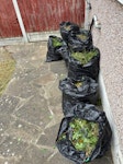 Clear 7 bags of garden waste Bags in back garden and can be moved to front garden before collection when time arranged RM6 - removed for £83