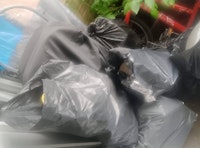 electrical waste collected by PT Waste Collection