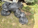 garden waste garden clearance waste, 7 bags and two small rotten trunks and one full bin HA2 - removed for £130