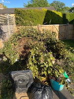 large pile of garden waste collected by Long Gone Waste Diposal