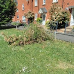 Large bushes cut down Bushes cut down for emergency access to our sewage system. Cut off brunches need removal asap. SN4 - removed for £104