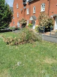 Large bushes cut down Bushes cut down for emergency access to our sewage system. Cut off brunches need removal asap. SN4 - removed for £104