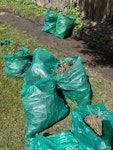 garden waste - weeds, branches branches, weeds and leaves E11 - removed for £82