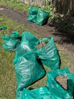 garden waste - weeds, branches collected by jdz junkbox