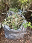 10 jumbo-bags 10 jumbo bags with branches and leaves BR1 - removed for £214
