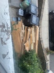 Pile of wood, two doors and so Pile of wood, two doors and some garden waste E8 - removed for £117