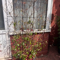 Garden planter collected by PT Waste Collection