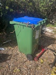 Green waste branches and wood Green bin full of leaves/weed, just need to empty that, plus pile of tree cuttings and  old wood. SW14 - removed for £123