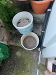 ~100kg of DIY waste/rubble Mostly mix of broken up concrete and old masonry rubble, all in bin bags, and a few buckets from the replacement material. All from a small DIY job in a cellar room. Will move it all to kerbside for easy pick up N16 - removed for £110
