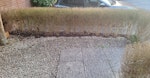 Removal of old hedge An old (dead) hedge will be removed, and just need something which will have space to take this away SN4 - removed for £156