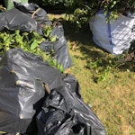 green waste SW2 - removed for £156