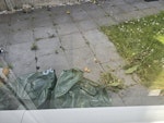 6 x empty dvd case box+ other 6 x boxes of empty dvd cases and black bag. 3x garden rubbish bags. ME10 - removed for £71