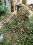 Garden waste I have garden waste. I’ve wrapped it in bamboo fencing SW19 - removed for £214