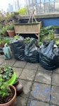 garden waste garden waste, roots, cuttings etc SE1 - removed for £104