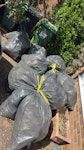 12 BAGS OF EXPANDING FOAM 12 BAGS OF EXPANDING FOAM TN12 - removed for £113