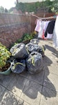 9 BAGS OF EXPANDING FOAM 12 BAGS OF EXPANDING FOAM LS24 - removed for £113