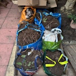 bags soil/roots,carboaard wood 6 bags of soil and roots, some cardboard, one wooden chair, some wooden bits and small tree trunks SE5 - removed for £43