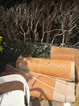 Carpet CM3 - removed for £77