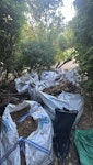 Garden waste 8 big bags of garden waste. We are keeping the bags N20 - removed for £188