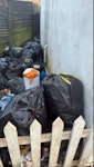 house whold rubbish household rubbish about 60 black bags EN3 - removed for £143