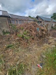 Garden waste garden waste and old shed SN2 - removed for £286
