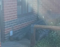 fence post, 6 bags rubbish collected by Mersey Waste (NW) LTD