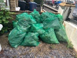 13 bags of garden waste Light garden waste (mainly leaves) is outside the flat (easy access to collect) W3 - removed for £83