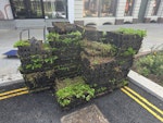 Green waste an plastic a pallet an a half load. plastic and green waste EC1M - removed for £156