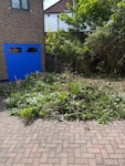 Garden waste garden waste from trimming hedges SE19 - removed for £257