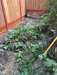 Mixed garden waste Mixed garden waste including branches, roots, woody cuttings, one metal plant/bush support frame, and a small amount of concrete/bricks. Collection requires carrying the waste through a neighbour's flat. E17 - removed for £194