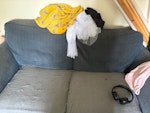 Sofa bed and wood Quote for sofa bed removal and bits of wood from old bunk bed HP5 - removed for £94