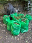 garden waste, parts of trees 11 plastic bags with garden waste, one tree cut into pieces (it was a thin but a rather long tree, so multiple parts - see photo), a dry Christmas tree medium size. All located in the back side of the back garden (one flight of stairs down from the flat). N5 - removed for £156
