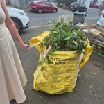 Garden waste Garden waste resulting from cutting back trees. TW13 - removed for £83
