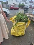 Garden waste Garden waste resulting from cutting back trees. TW13 - removed for £83