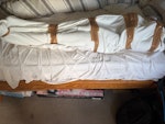 Full size doll Removal Full size doll removal two man job to carry down several steps from top floor flat to ground floor (3 floors) weight about 90 lbs AL5 - removed for £94