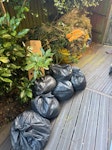 garden waste garden waste SW18 - removed for £117