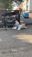 Multiple bags by bins collected by SS cleaning and clearance ltd