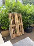 One pallet One pallet ready to collect outside the front of the house. Thanks! TW10 - removed for £39