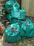 Green Waste Six 120 litre bags of green waste. I would like to keep the bags so will need to be emptied into vehicle. CT16 - removed for £59