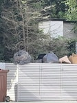 Black bags of rubbish Just rubbish from a party ME2 - removed for £104