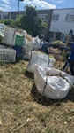 pampas grass and tree branches E16 - removed for £214