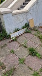 Mops, plyboard, small amount Small amount of rubbish. E11 - removed for £29