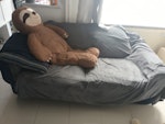 2 Sofas, a 3-seater sofa bed (a bit heavy),         and a 3-seater sofa. M11 - removed for £173