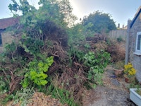 garden waste collected by AJD man and van
