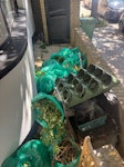 garden and general waste garden waste and some general waste from the garden NW5 - removed for £117