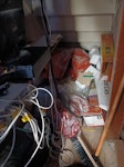 Rubbish removal Betfred shop 7 - Cardboard boxes and small bags of rubbish to be removed. WN7 - removed for £80